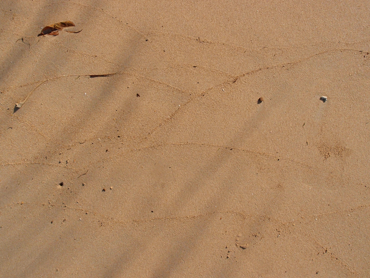 2015-09-27 Boot & Sand (Komposition) (Foto)